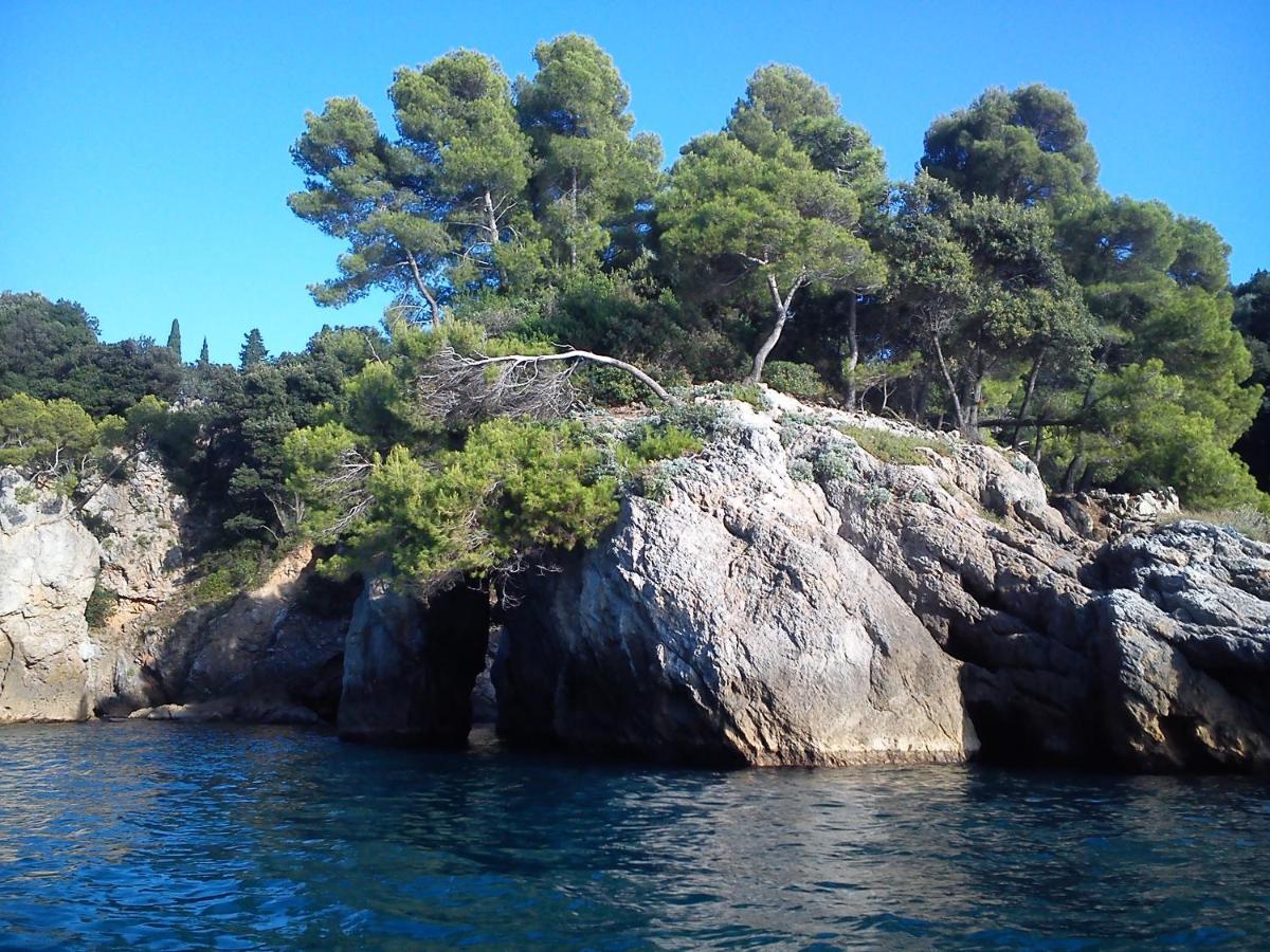 Mansard Apart Alba - Sea 5 Terre-Trekking-Excursions-Relax San Terenzo Exterior foto